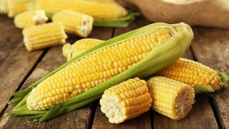 Nằm mơ thấy trái bắp đánh số gì? Mơ thấy mình đang ăn bắp luộc Nằm mơ thấy trái bắp đánh số gì? Mơ thấy mình đang ăn bắp luộc